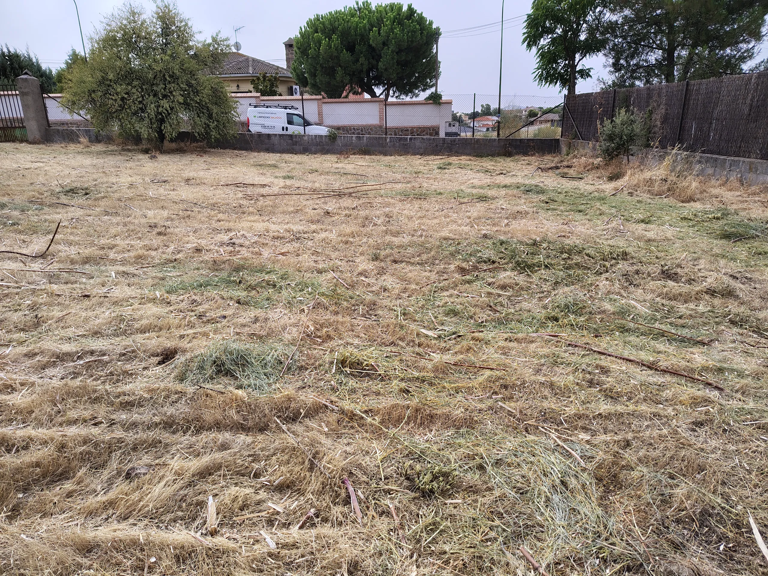 Desbroce de parcelas en Argés